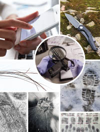 collage of different types of forensic evidence