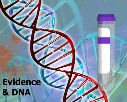 Image of DNA Evidence