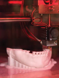 3D printed lower jaw