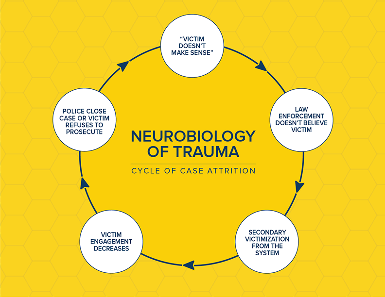 7-neurobiology.png