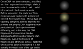 multimedia resources from nij s forensic dna training courses national institute of justice
