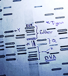 DNA fingerprint report