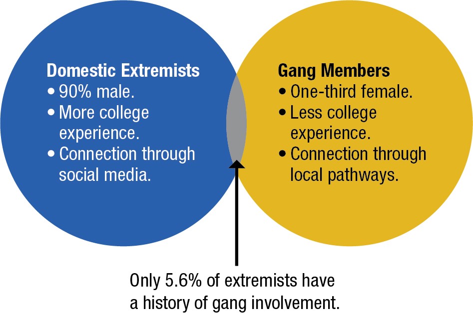 Only 5.6 percent of extremists have a history of gang involvement