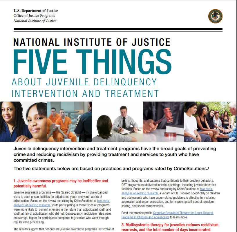 Cover of Five Things About Juvenile Delinquency Intervention and Treatment
