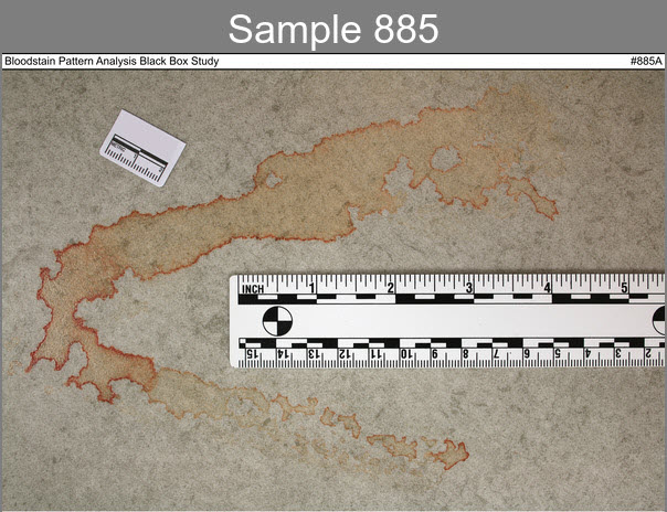 Example photograph used in bloodstain pattern analysis study