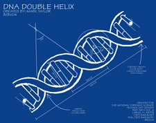 Diagram of a DNA Double Helix