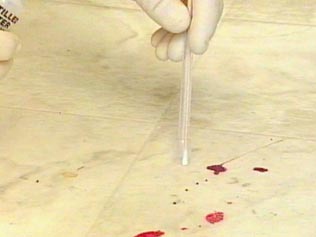 Image of gloved technician holding swab over evidence