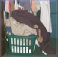 Image of laundry