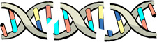 illustration of DNA Double Helix broken into pieces