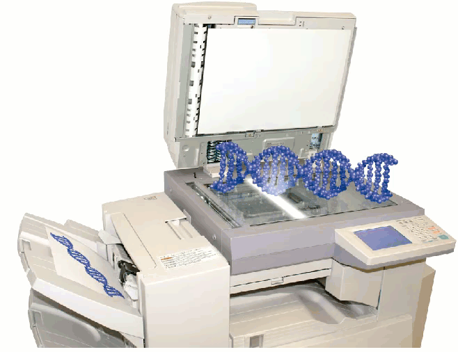 Animated illustration of DNA strand on copy machine, making copies.