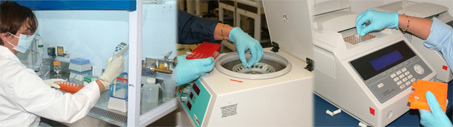 three photos of different lab equipment