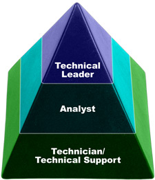 A pyramid with 3 layers, Technical Leader on top, Analyst in the middle, and Technician/Technical Support on the lower level