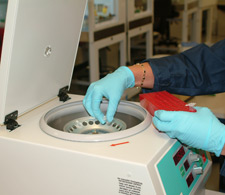 Photo of gloved hands taking test tubes out of a machine
