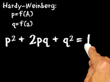 illustrated chalkboard with Hardy-Weinberg equation written in chalk