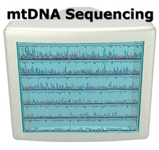 image of an old computer monitor showing mtDNA Sequencing