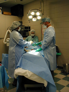 photo of 3 doctors performing surgery