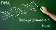 Chalkboard with written text "DNA Deoxyribonucleic Acid" as well as hand drawing a double helix