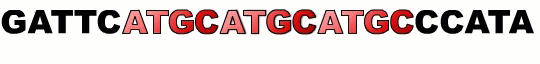 Animated image of the letters CATG