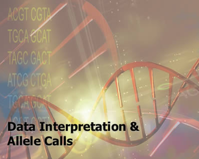 Data Interpretation & Allele Calls