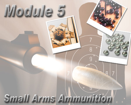 Illustration of a gun being fired with photos of bullet holes and propellants