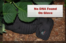 Photo of a glove on the ground behind a tree plant. Caption says 'No DNA Found on Glove'