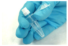 Photo of gloved hand holding a microcentrifuge tube with spin basket
