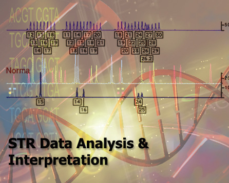 STR Data Analysis & Interpretation