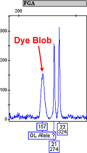 Image of Dye Blob