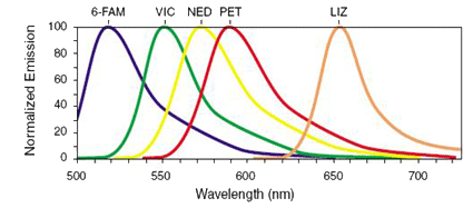 Chart of Normalized Emission by Wavelength