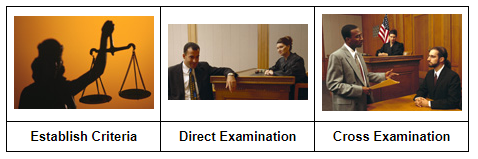 Image of sequestration - establish criteria, direct examination, and cross examination