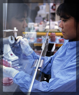 Photo of a chemist studying DNA evidence samples in a lab