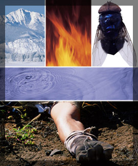 Photo examples of degradation environments including a snowy mountain terrain, fire pit, an insect, a water pond, a broken leg lying on a dirt ground