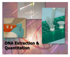 Graphic of DNA Extraction procedures with text DNA Extraction & Quantitation