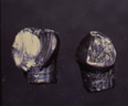 Photo of two fired bullets