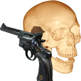 Photo of a human skull and a gun