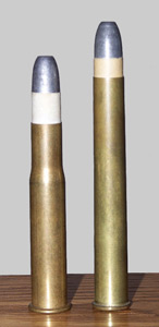 Photo of two bullets