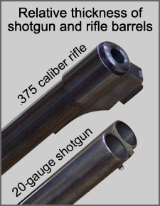Relative thickness of shotgun and rifle barrels