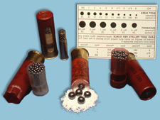 Photo of Shotshell and pellets
