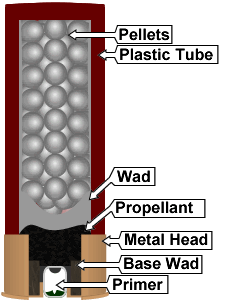 diagram of the inside of shotshell