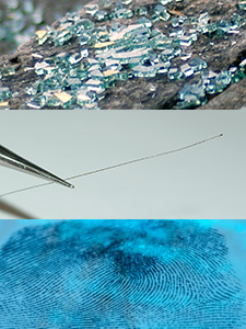 From top to bottom: broken glass, hair, fingerprint