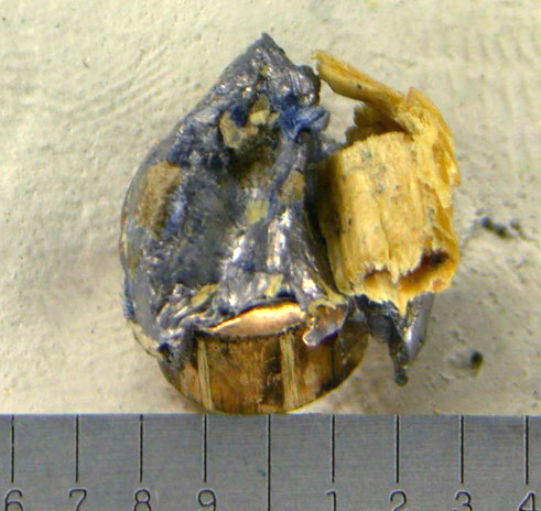 Wood evidence on fired bullet