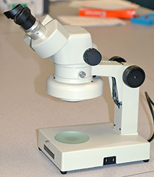 Stereomicroscope