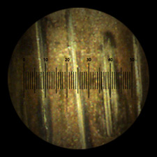 Striations on a bullet through an eyepiece reticle