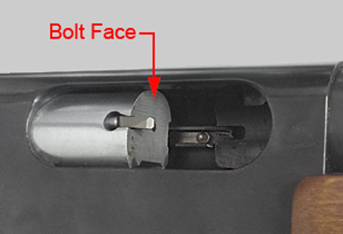 Boltface and Extractor