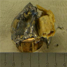 Damaged bullet with wood trace evidence