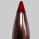 folded hollow point