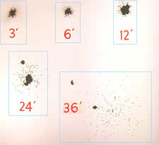 Shot patterns produced using the same 12-gauge shotgun with shotshells containing #4 shot pellets