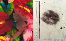 Visualization of gunpowder residue patterns using a digital infrared camera and optical filters