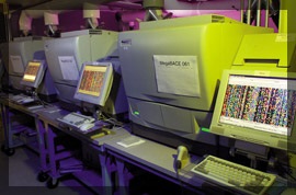 Photo of computers and printers