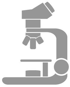 Illustration of microscope